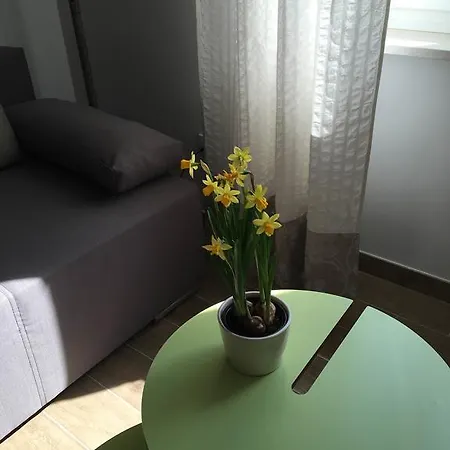 Regina Apartment