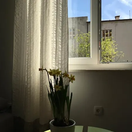 Regina 스플리트